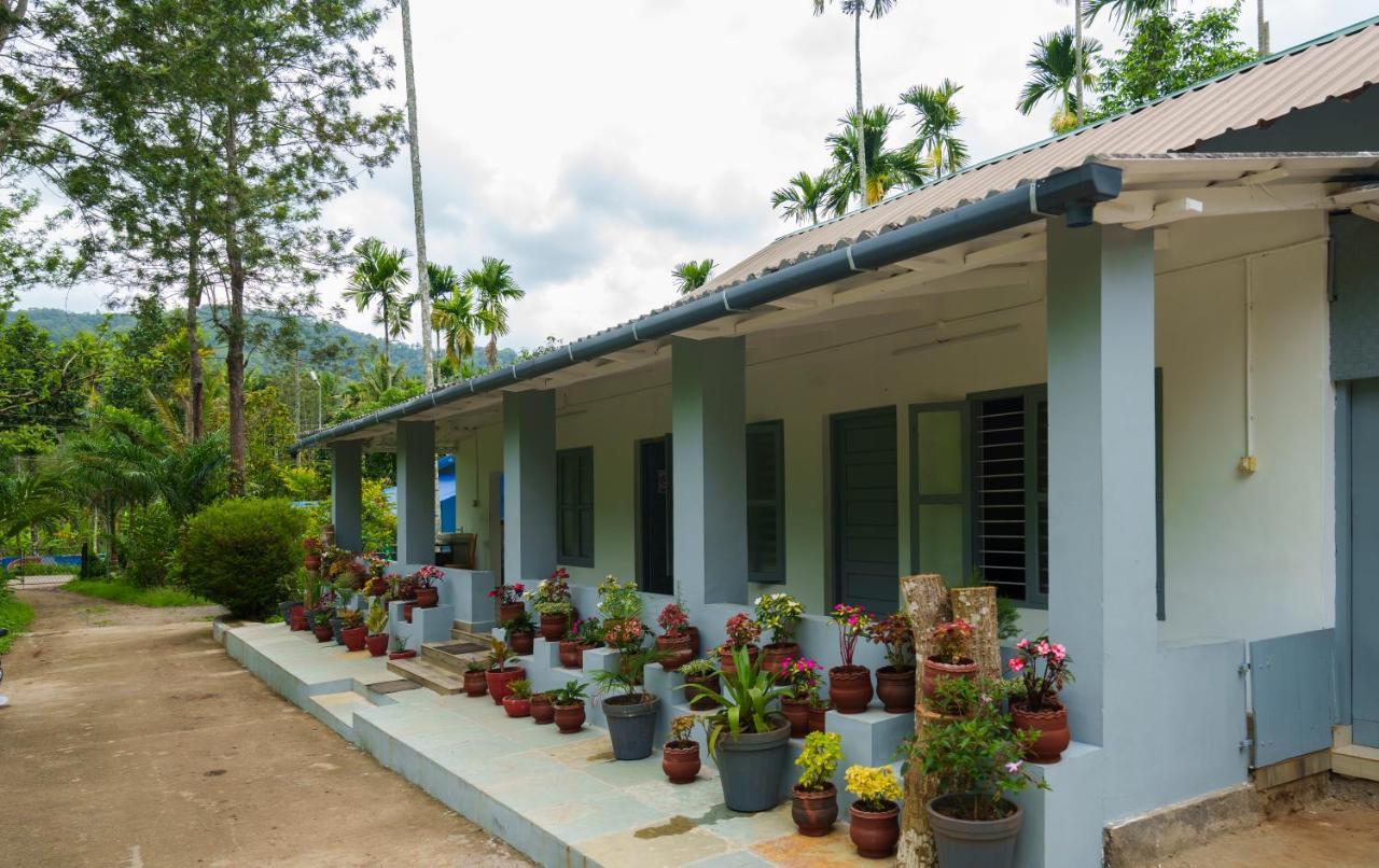 Apartmán Mystic Trees, Kumily Thekkady Exteriér fotografie